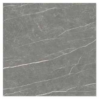 Marmor Klinker Prestige Mörkgrå Polerad 75x75 cm-2